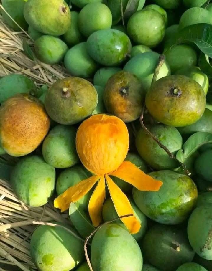 হিমসাগর