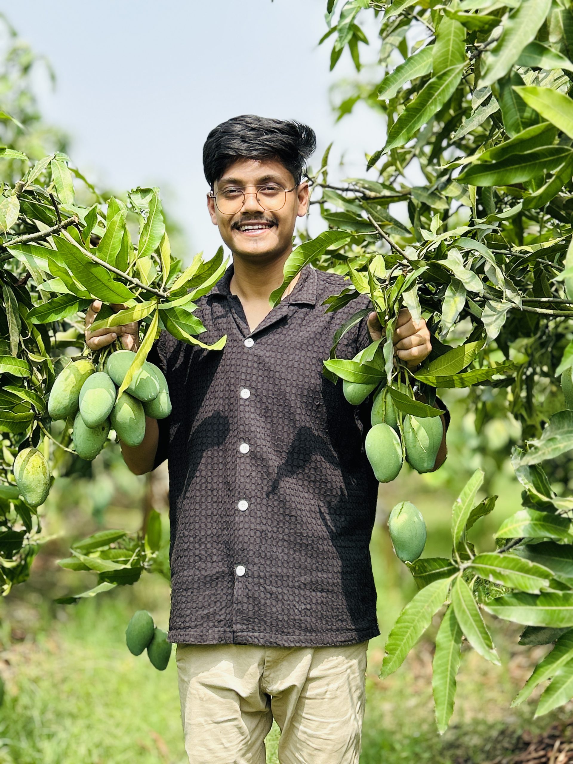 Mango 1